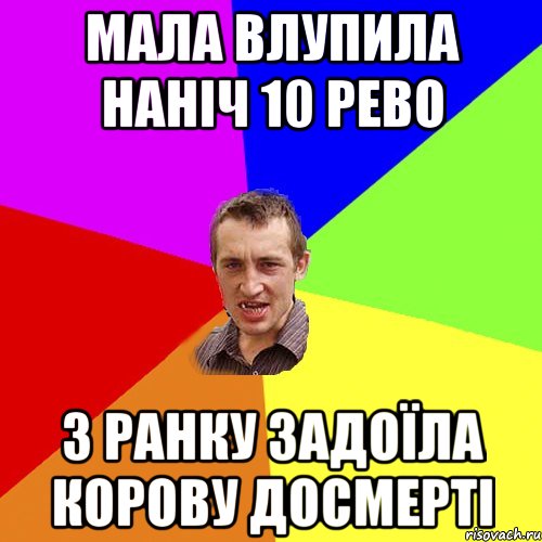 мала влупила наніч 10 рево з ранку задоїла корову досмерті, Мем Чоткий паца