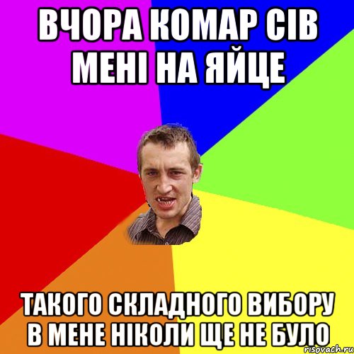 вчора комар сів мені на яйце такого складного вибору в мене ніколи ще не було, Мем Чоткий паца