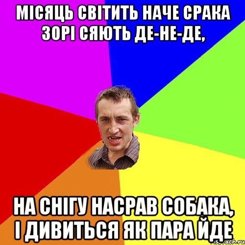 місяць світить наче срака зорі сяють де-не-де, на снігу насрав собака, і дивиться як пара йде