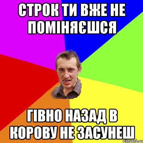 строк ти вже не поміняєшся гівно назад в корову не засунеш, Мем Чоткий паца