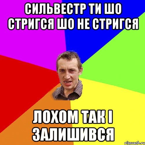 Сильвестр ти шо стригся шо не стригся лохом так і залишився, Мем Чоткий паца