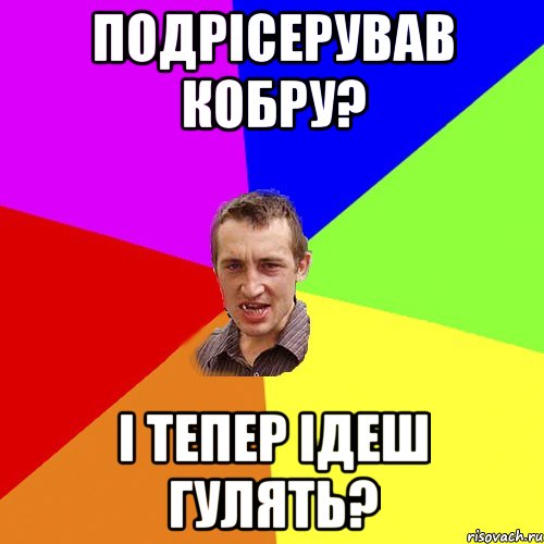 подрісерував кобру? і тепер ідеш гулять?, Мем Чоткий паца