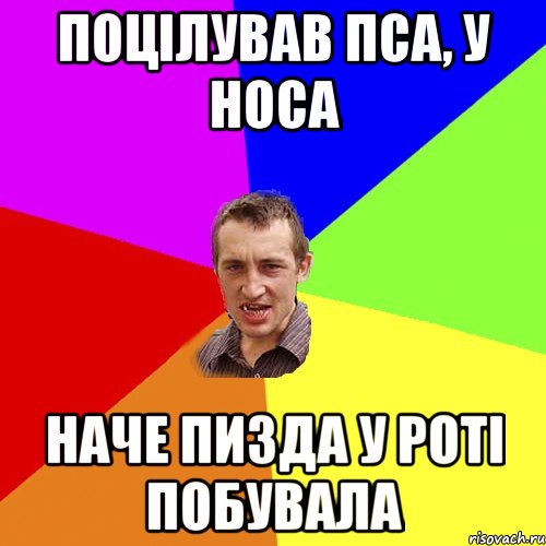 Поцілував пса, у носа наче пизда у роті побувала, Мем Чоткий паца