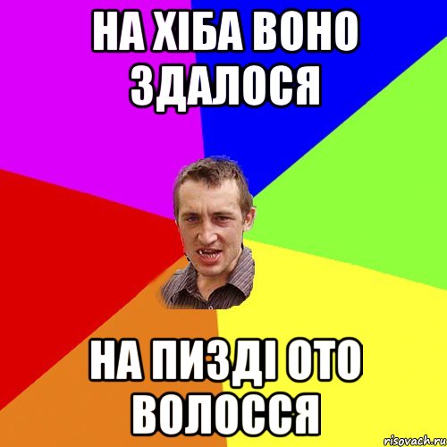 На хіба воно здалося на пизді ото волосся, Мем Чоткий паца