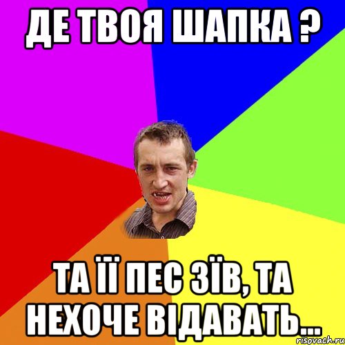 Де твоя шапка ? Та її пес зїв, та нехоче відавать..., Мем Чоткий паца