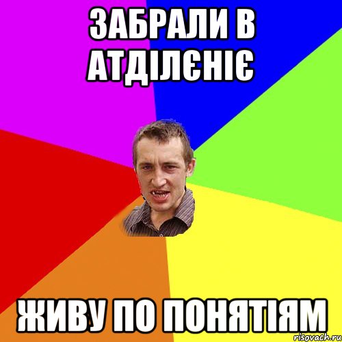 Забрали в Атділєніє живу по понятіям, Мем Чоткий паца