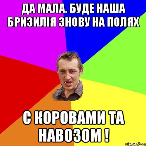 ДА МАЛА. БУДЕ НАША БРИЗИЛІЯ ЗНОВУ НА ПОЛЯХ С КОРОВАМИ ТА НАВОЗОМ !, Мем Чоткий паца