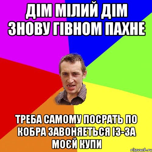 Дім мілий дім знову гівном пахне треба самому посрать по кобра завоняеться із-за моєй купи, Мем Чоткий паца