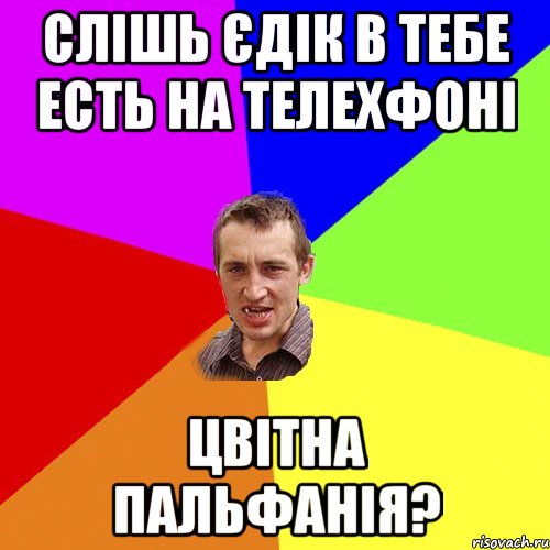 СЛІШЬ ЄДІК В ТЕБЕ ЕСТЬ НА ТЕЛЕХФОНІ ЦВІТНА ПАЛЬФАНІЯ?, Мем Чоткий паца