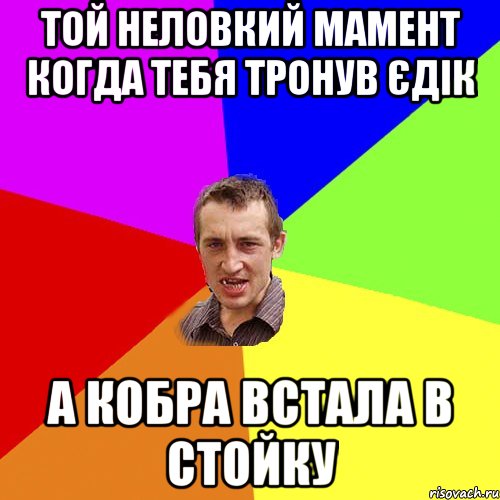 Той неловкий мамент когда тебя тронув єдік а кобра встала в стойку, Мем Чоткий паца