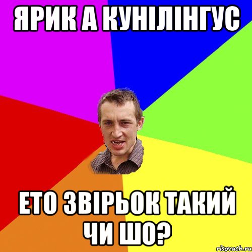 Ярик а кунілінгус ето звірьок такий чи шо?, Мем Чоткий паца