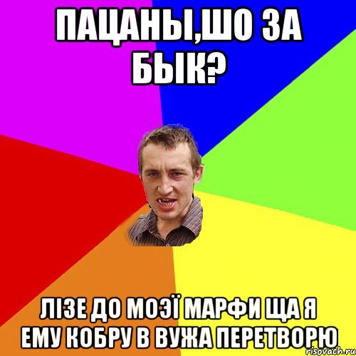 Пацаны,шо за бык? Лізе до моэї Марфи ща я ему кобру в вужа перетворю, Мем Чоткий паца