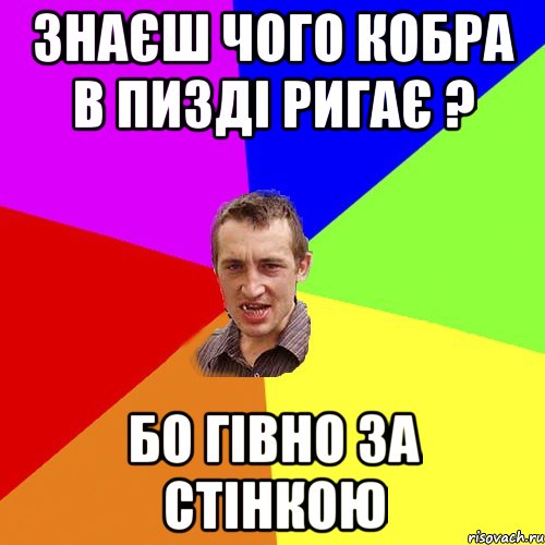 знаєш чого кобра в пизді ригає ? бо гівно за стінкою, Мем Чоткий паца