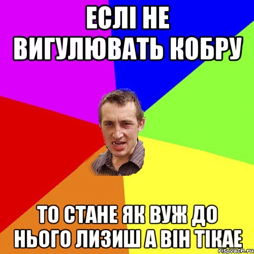 Еслі не вигулювать кобру то стане як вуж до нього лизиш а він тікае, Мем Чоткий паца