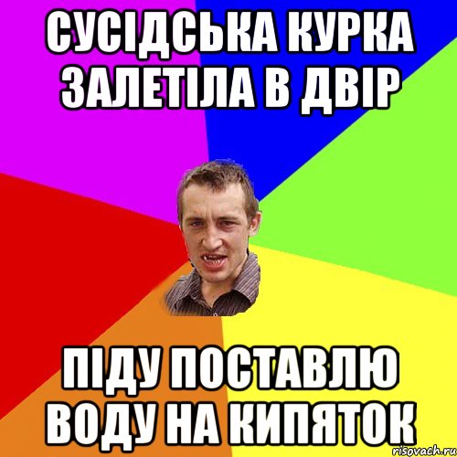 Сусідська курка залетіла в двір Піду поставлю воду на кипяток, Мем Чоткий паца