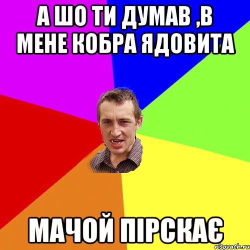 а шо ти думав ,в мене кобра ядовита мачой пірскає, Мем Чоткий паца