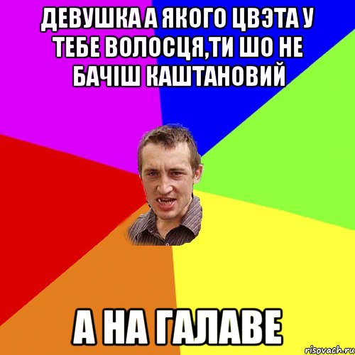 девушка а якого цвэта у тебе волосця,ти шо не бачіш каштановий а на галаве, Мем Чоткий паца