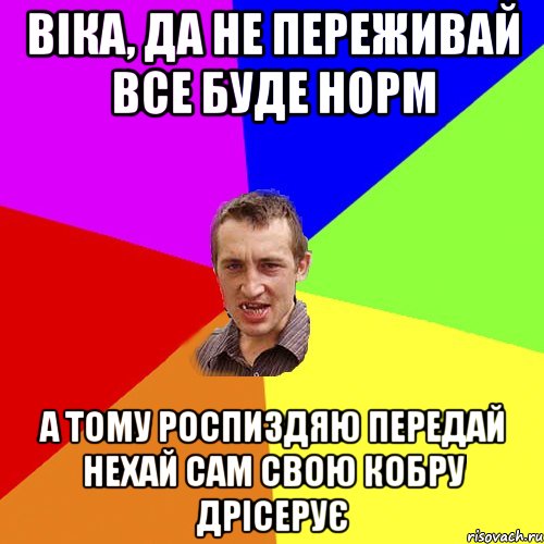 Віка, да не переживай все буде норм А тому роспиздяю передай нехай сам свою кобру дрісерує, Мем Чоткий паца