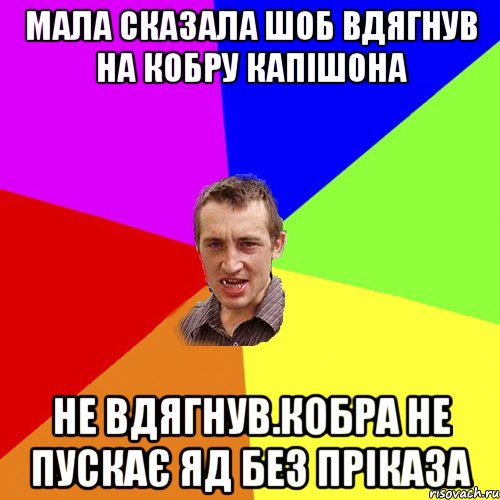 мала сказала шоб вдягнув на кобру капішона не вдягнув.кобра не пускає яд без пріказа, Мем Чоткий паца