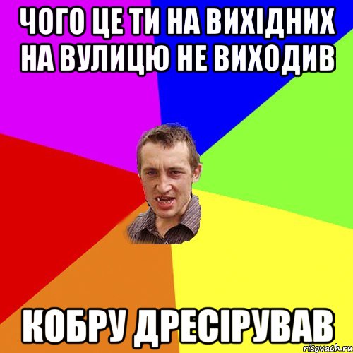 Чого це ти на вихідних на вулицю не виходив кобру дресірував, Мем Чоткий паца