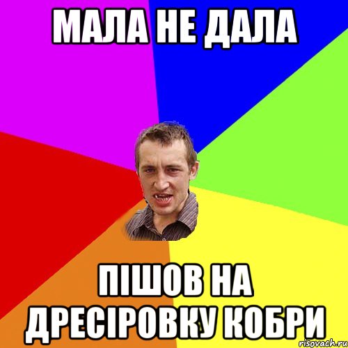 мала не дала пішов на дресіровку кобри, Мем Чоткий паца