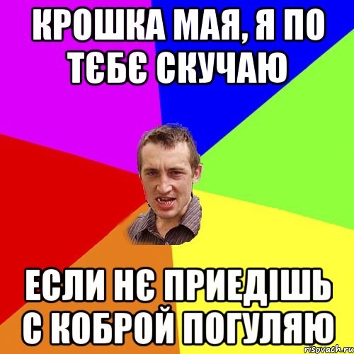 крошка мая, я по тєбє скучаю если нє приедішь с коброй погуляю, Мем Чоткий паца