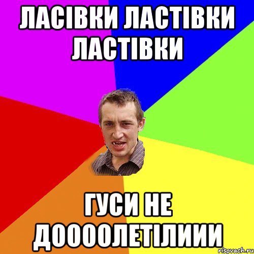 ласівки ластівки ластівки гуси не доооолетілиии, Мем Чоткий паца