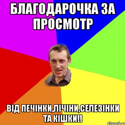 Благодарочка за просмотр Від печінки,лічіни,селезінки та кІшки!!, Мем Чоткий паца