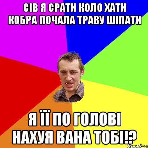 Сів я срати коло хати кобра почала траву шіпати я її по голові нахуя вана тобі!?, Мем Чоткий паца