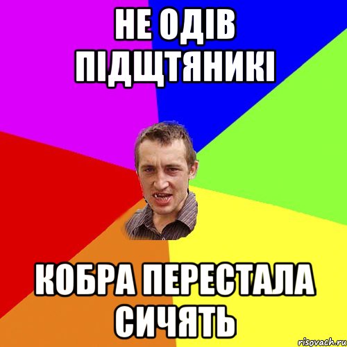 не одів підщтяникі кобра перестала сичять, Мем Чоткий паца