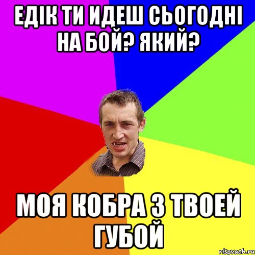 Едік ти идеш сьогодні на бой? Який? Моя кобра з твоей губой, Мем Чоткий паца