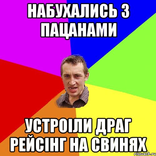 набухались з пацанами устроіли драг рейсінг на свинях