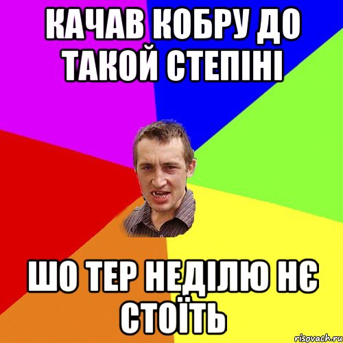 качав кобру до такой степіні шо тер неділю нє стоїть, Мем Чоткий паца