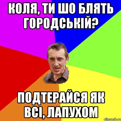 Коля, ти шо блять городській? Подтерайся як всі, лапухом, Мем Чоткий паца