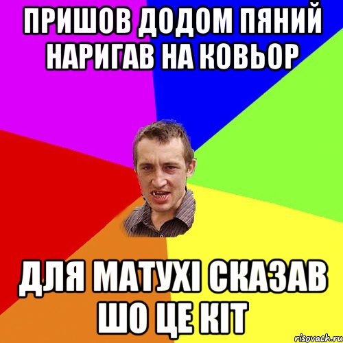 пришов додом пяний наригав на ковьор для матухі сказав шо це кіт, Мем Чоткий паца