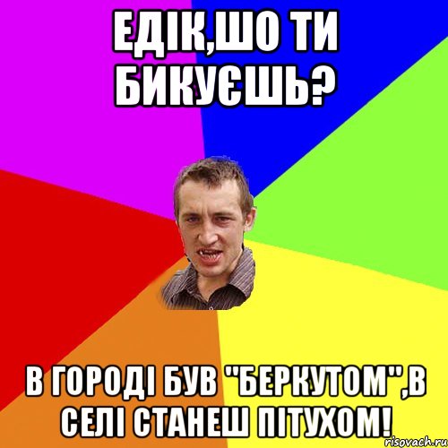 Едік,шо ти бикуєшь? В городі був "Беркутом",в селі станеш пітухом!, Мем Чоткий паца