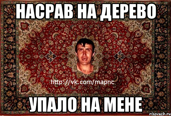 насрав на дерево упало на мене