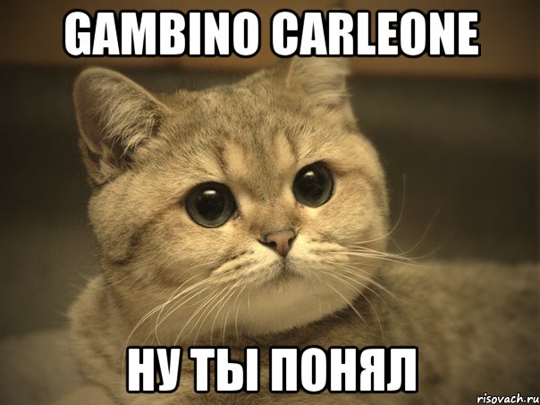 gambino carleone ну ты понял, Мем Пидрила ебаная котик