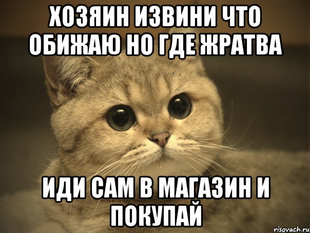 хозяин извини что обижаю но где жратва иди сам в магазин и покупай, Мем Пидрила ебаная котик