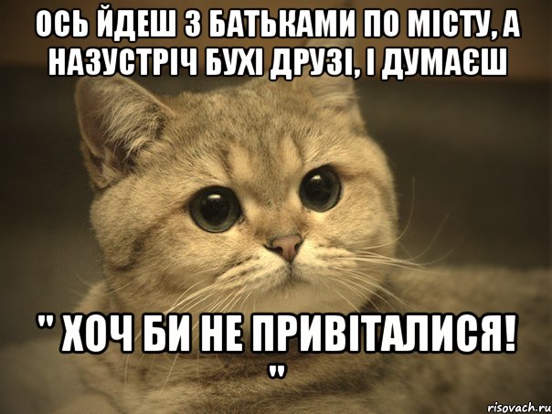 ось йдеш з батьками по місту, а назустріч бухі друзі, і думаєш " хоч би не привіталися! ", Мем Пидрила ебаная котик