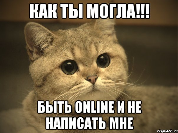 как ты могла!!! быть online и не написать мне, Мем Пидрила ебаная котик