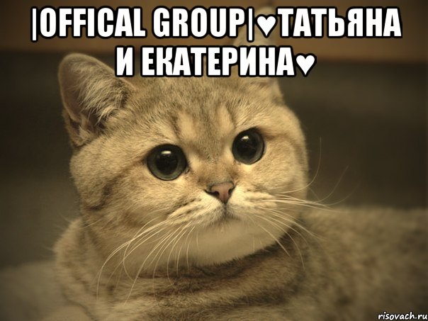 |offical group|♥татьяна и екатерина♥ , Мем Пидрила ебаная котик