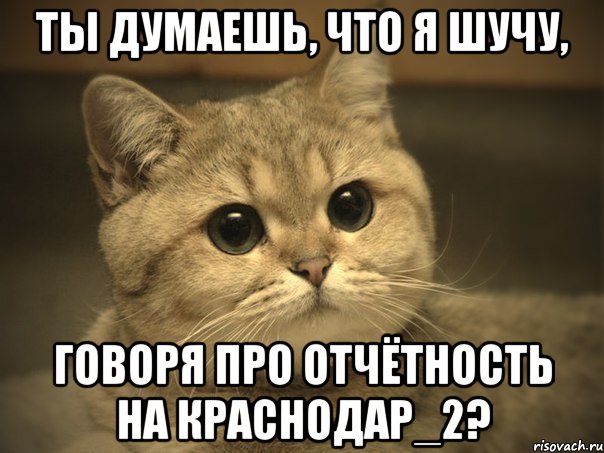 ты думаешь, что я шучу, говоря про отчётность на краснодар_2?, Мем Пидрила ебаная котик