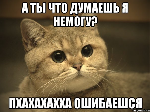 а ты что думаешь я немогу? пхахахахха ошибаешся, Мем Пидрила ебаная котик