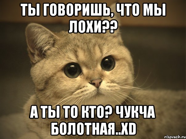 ты говоришь, что мы лохи?? а ты то кто? чукча болотная..xd, Мем Пидрила ебаная котик