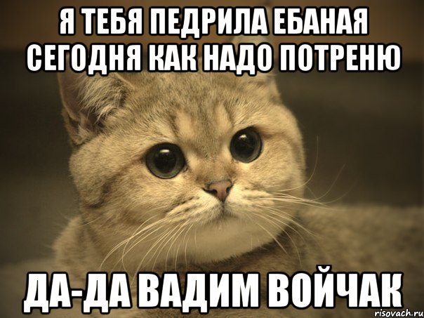 Я тебя педрила ебаная сегодня как надо потреню Да-да Вадим Войчак, Мем Пидрила ебаная котик