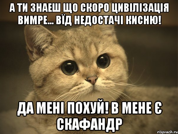 А ти знаеш що скоро цивілізація вимре... Вїд недостачі кисню! Да мені похуй! В мене є скафандр, Мем Пидрила ебаная котик