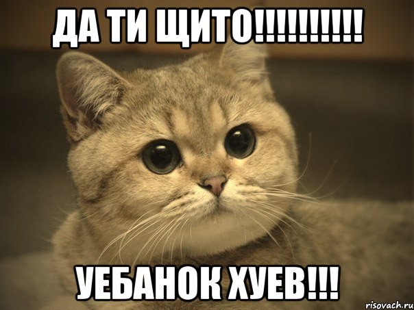 ДА ТИ ЩИТО!!!!!!!!!! УЕБАНОК ХУЕВ!!!, Мем Пидрила ебаная котик