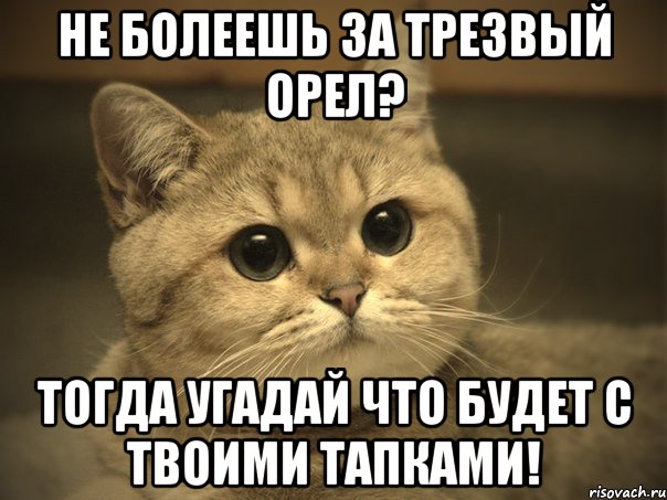 Не болеешь за Трезвый орел? Тогда угадай что будет с твоими тапками!, Мем Пидрила ебаная котик