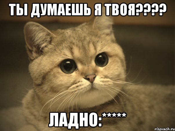 Ты думаешь я твоя???? Ладно:*****, Мем Пидрила ебаная котик